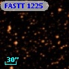 FASTT 1225