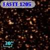 FASTT 1205