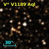 V* V1189 Aql