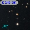 G 242-36