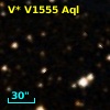 V* V1555 Aql