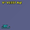 V* V1557 Aql