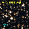 V* V1556 Aql