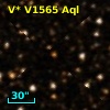 V* V1565 Aql