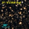 V* V1564 Aql