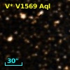 V* V1569 Aql