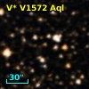 V* V1572 Aql
