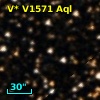 V* V1571 Aql