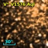 V* V1576 Aql