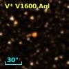 V* V1600 Aql