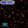 RRF  237