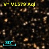 V* V1579 Aql