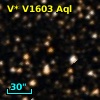V* V1603 Aql