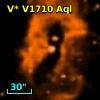 V* V1710 Aql