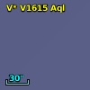 V* V1615 Aql