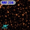 RRF  250