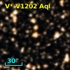 V* V1202 Aql