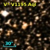 V* V1195 Aql