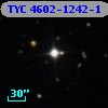 TYC 4602-1242-1