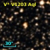 V* V1203 Aql