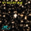 V* V1197 Aql