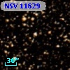 NSV 11829