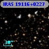 IRAS 19116+0227