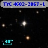 TYC 4602-2067-1