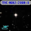 TYC 4602-2160-1