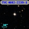 TYC 4602-2239-1