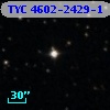 TYC 4602-2429-1