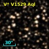 V* V1529 Aql