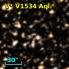 V* V1534 Aql
