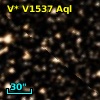 V* V1537 Aql