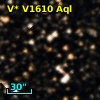 V* V1610 Aql