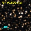 V* V1609 Aql