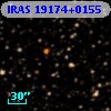 IRAS 19174+0155
