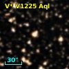V* V1225 Aql