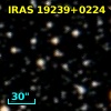 IRAS 19239+0224