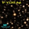 V* V1245 Aql