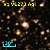V* V1273 Aql