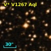 V* V1267 Aql