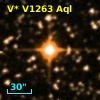 V* V1263 Aql