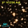 V* V1256 Aql