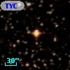TYC  482-3170-1