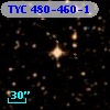 TYC  480-460-1