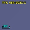 TYC  484-2021-1