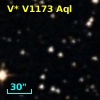 V* V1173 Aql