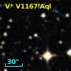 V* V1167 Aql