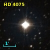 G 245-9
